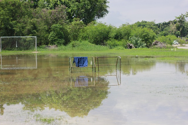 球迷的反应 球迷的反应
