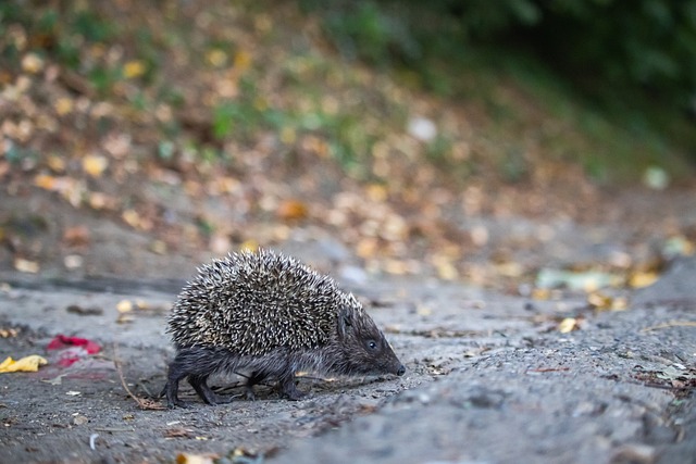 终选择了离 终选择了离