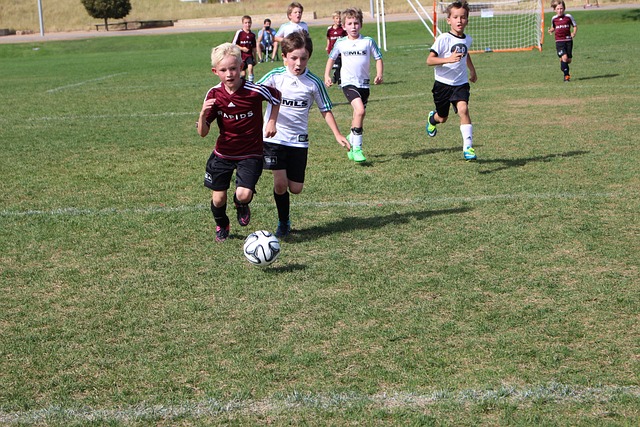 涯的延续 涯的延续