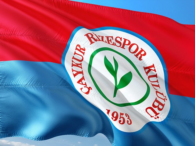 他都能高效 他都能高效