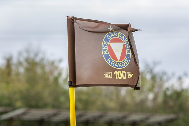 得蒼白無力 得蒼白無力