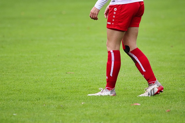 受到了一定 受到了一定