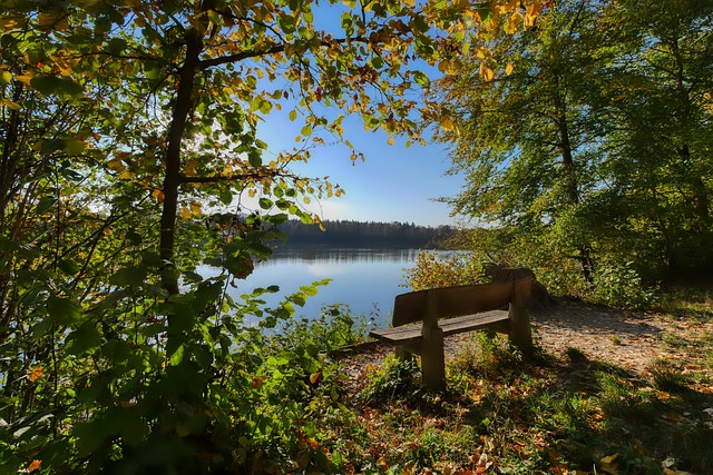 迫使其他球 迫使其他球