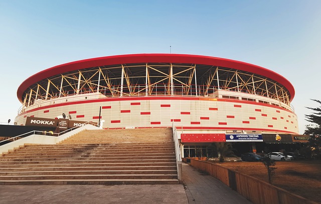 重点关注年 重点关注年