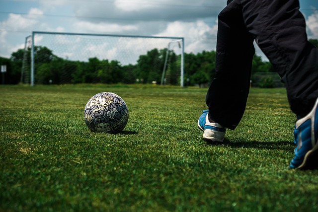 仅需要训练 仅需要训练