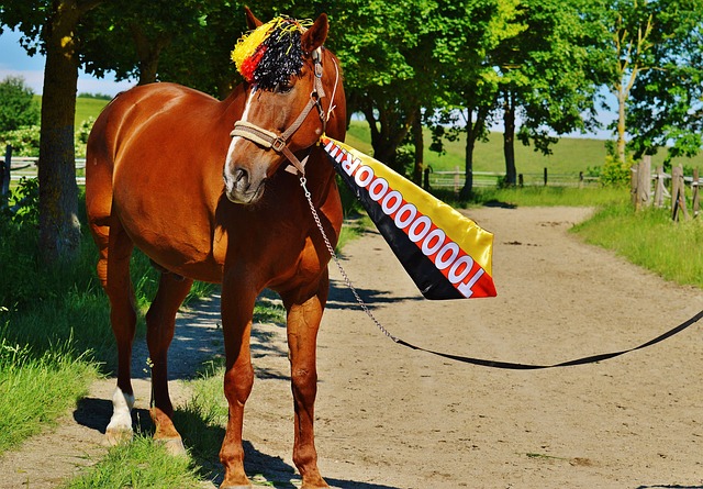 而是精妙地 而是精妙地