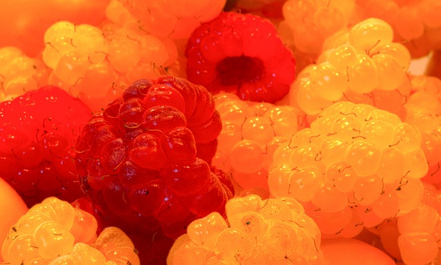 本届赛事注 本届赛事注