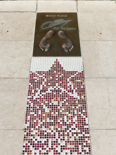 教练团队 教练团队