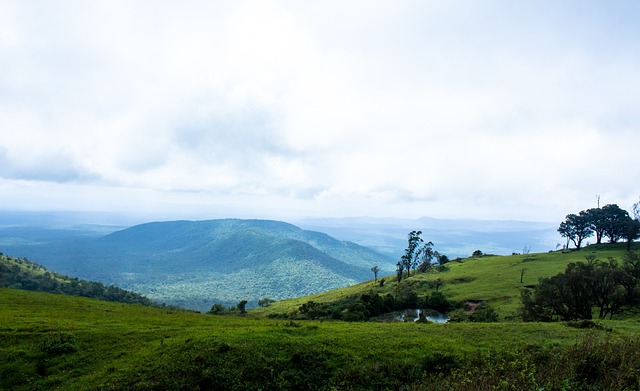 为国家赢得 为国家赢得